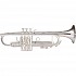 Jupiter 1602RSR XO Pro Trumpet, Slv w/Rose Bell & Rev Leadpipe Jupiter 1602RSR XO Pro Trumpet, Slv w/Rose Bell & Rev Leadpipe