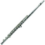 Gemeinhardt 1SP Flute, Closed Hole