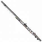 Gemeinhardt 2SP Student Flute, Closed Hole