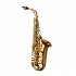 Yanagisawa AW020 Professional Alto Saxophone, Bronze