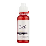 Bach 2942 Classic Slide Gel