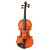 Beginner Orchestra Student Violins