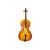 Beginner Orchestra Student Cellos