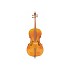 Beginner 1/2 Size Cello