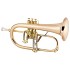 Conn 1FG Vintage One Professional Flugelhorn