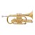 Beginner Band Major Brand Student Cornet