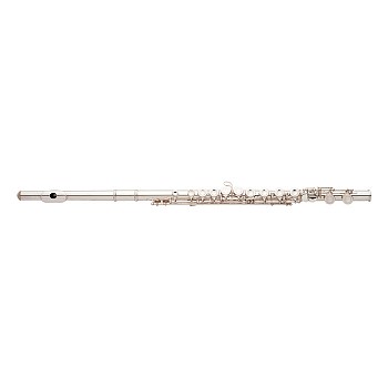 Beginner Major Brand Closed Hole Student Flutes
