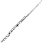 Beginner Major Brand Open Hole Student Flutes
