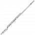 Econo Beginner Student Flute, Open Hole/Low C