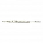 Major Brand Refinish Flute, Closed Hole
