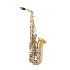 Selmer SAS202 Student Alto Saxophone