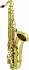 New Beginner Antigua TS2150LQ Tenor Sax, High F#