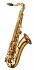 Yanagisawa TW02 Professional Tenor Saxophone, Bronze