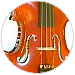 Beginner Violas